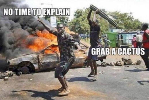 1731434413758.png
