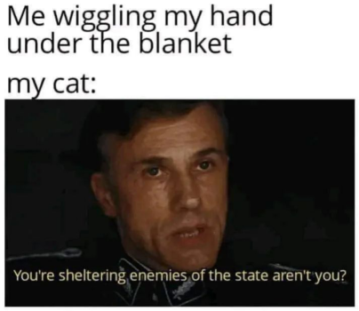 1731547096690.png
