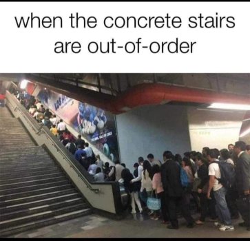 1731690248041.jpeg