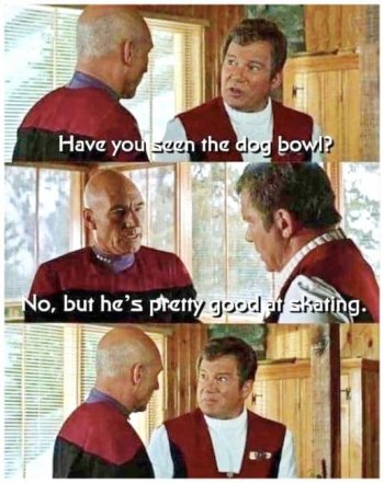 1732010167307.jpeg