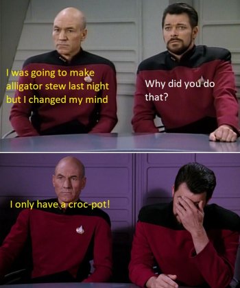 1732101544113.jpeg