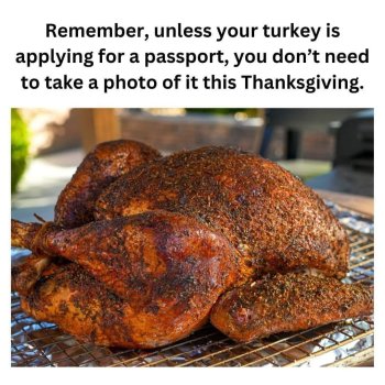 1732118247256.jpeg