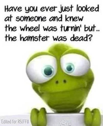 1732201059182.png