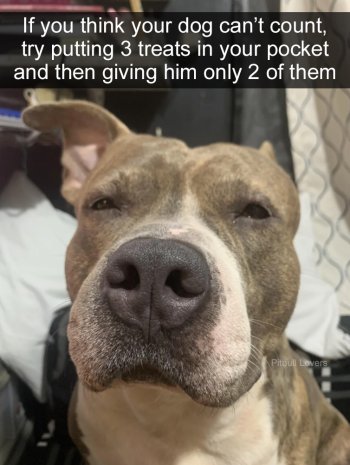 1732281377454.jpeg