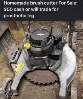 1732309502270.jpeg