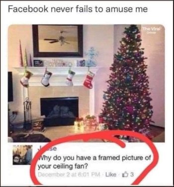 1732377745692.jpeg