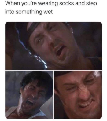 1732378936619.png