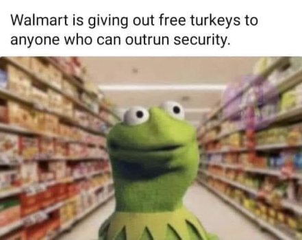 1732481165589.jpeg