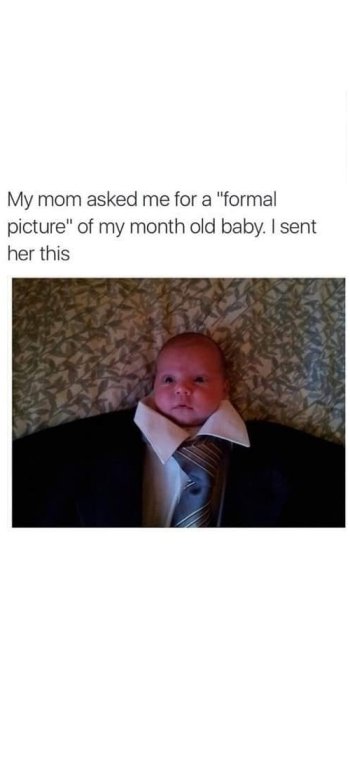 1732482439504.jpeg