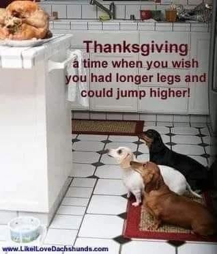1732494082188.jpeg