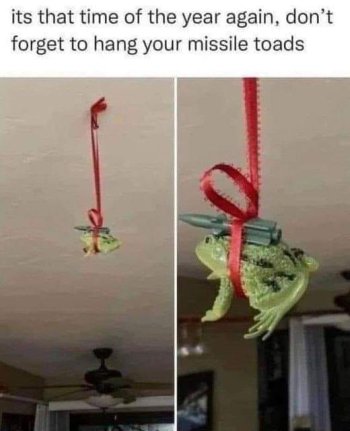 1732568194695.jpeg