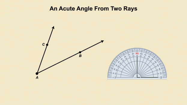 AcuteAngle--1.gif