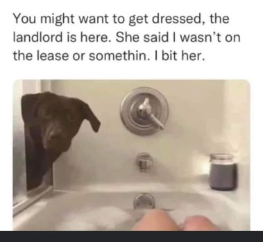 1732733342938.jpeg