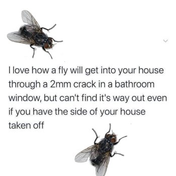 1732846146496.jpeg