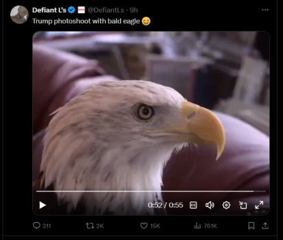 1732887788081.png