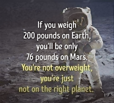 1733153166553.png