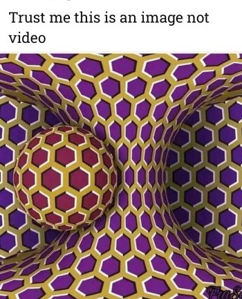 1733169317268.jpeg