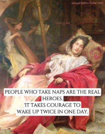 1733246351024.jpeg