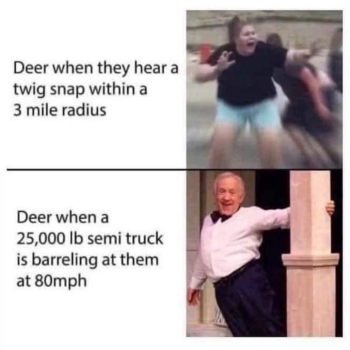 1733250849708.png