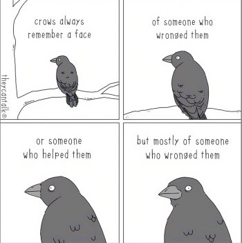 1733280122842.jpeg