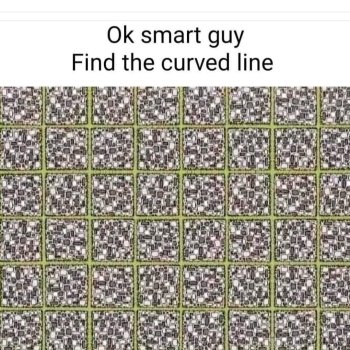 1733428013004.jpeg