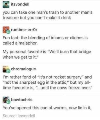 1733493857957.jpeg