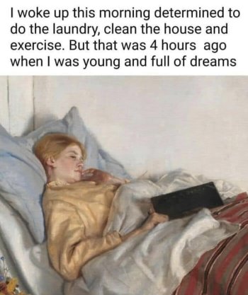 1733582901536.jpeg