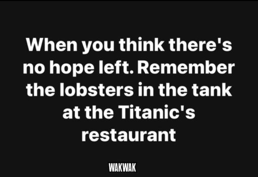 1733604920118.jpeg