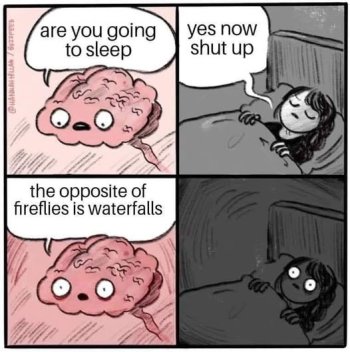1733752441620.jpeg