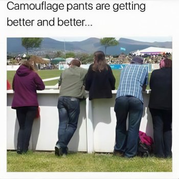 1733758836298.jpeg