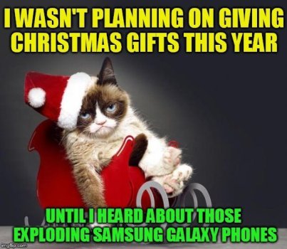 1734077350280.jpeg