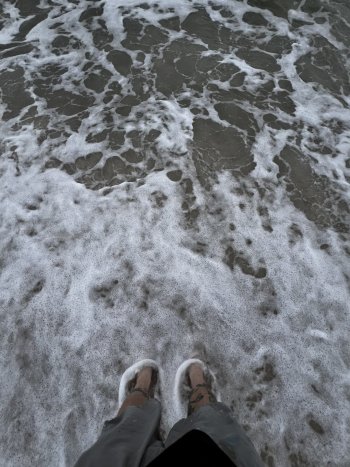 IMG_5229.jpeg