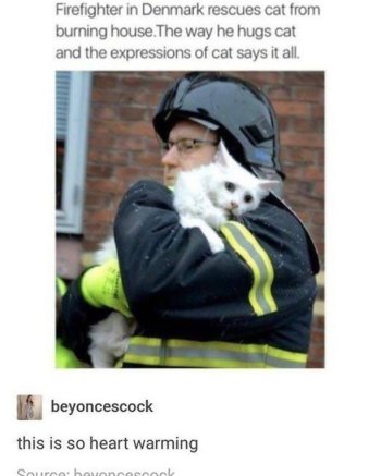 1734143228980.jpeg