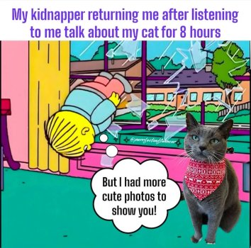 1734320196471.jpeg
