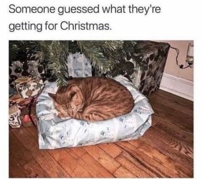 1734321409969.jpeg