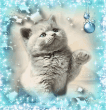 image.gif.732246433d6a6938722a942761ab0740.gif
