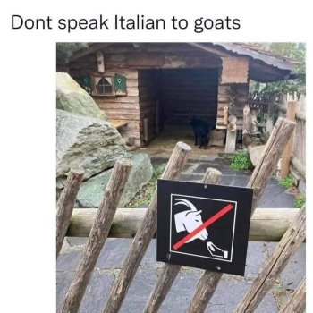 1734554529310.jpeg