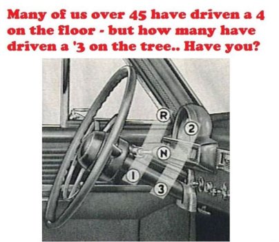 3 on the tree.jpg