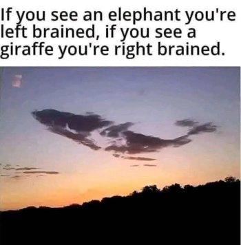 1734817820446.jpeg