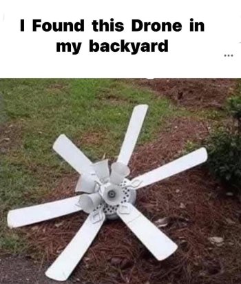 1734819140675.jpeg