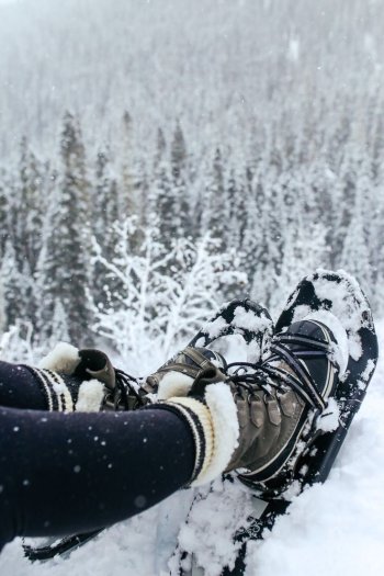 Walking In The Snow (2 of 3)