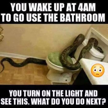 1734906405143.jpeg