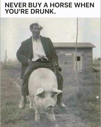 1735086434237.jpeg