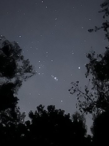 IMG_5695.jpeg
