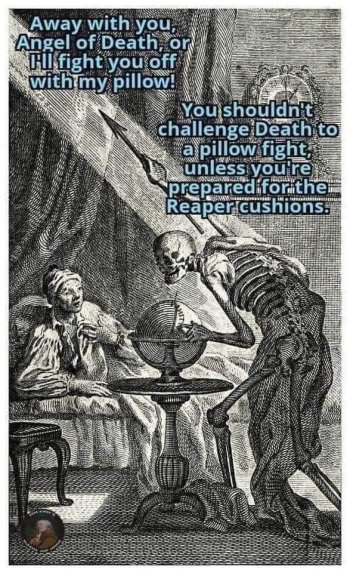 1735166318356.jpeg