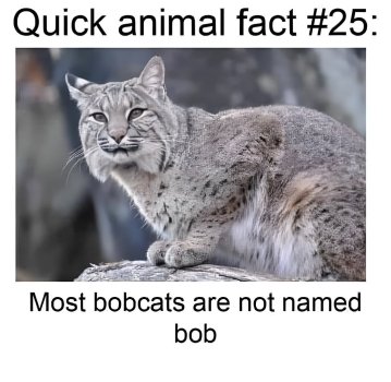 1735265794653.jpeg