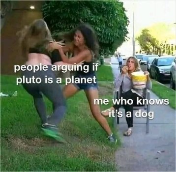 1735402730530.jpeg