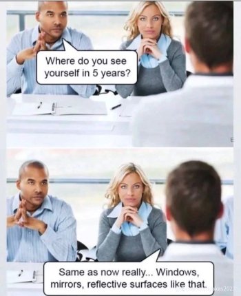 1735403337399.jpeg