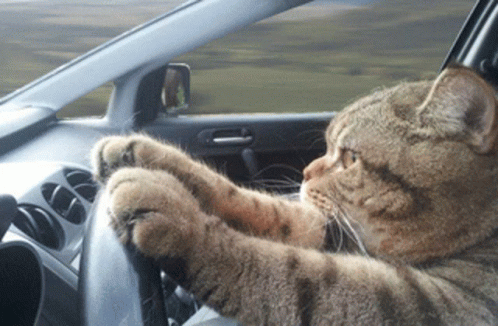1735516515253.gif