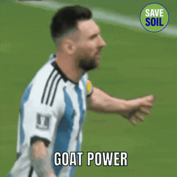 messi.gif
